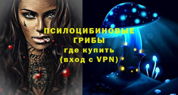 spice Балахна